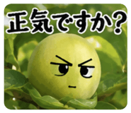 889253332