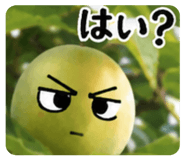 889253333
