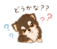 889253775