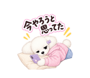 889255162