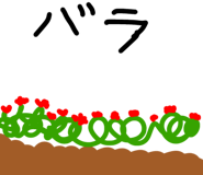 889256956