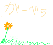 889256962