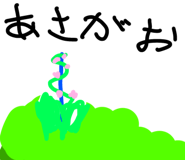 889256967