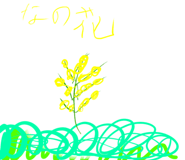 889256968