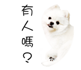 88925780