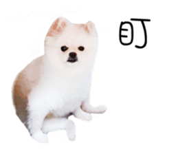 88925784