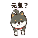 889258276