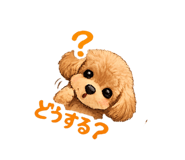 889269995