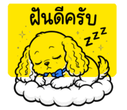 889270343