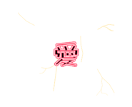 889271331