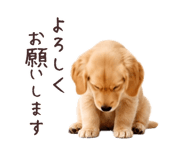 889271860