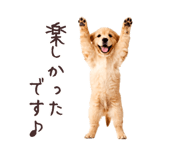 889271861