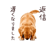 889271869