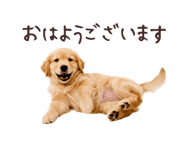 889271871
