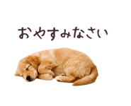 889271872