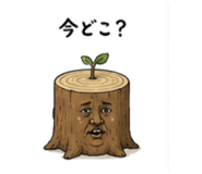 889277612