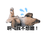 889290275