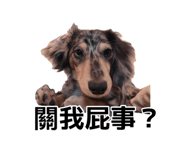 889290278