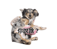 889290279