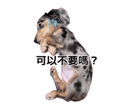 889290281