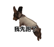 889290284