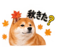 889312698