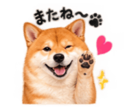 889312701