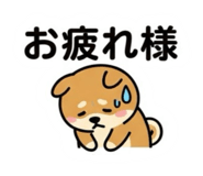 889313043
