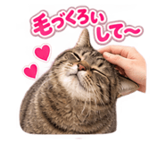 889313660