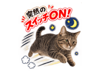 889313669