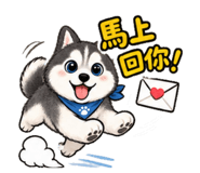 889326311
