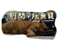 889340016