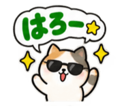 889441586