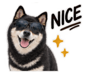 889442341