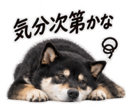 889442360