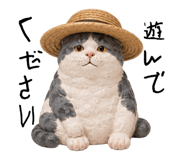 889442384