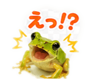 889442515