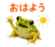 889442521