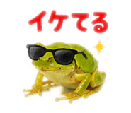 889442522