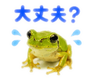 889442523