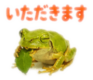 889442525