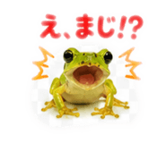 889442527