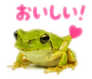 889442528