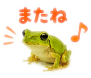 889442529
