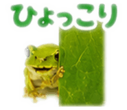 889442530