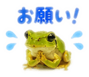 889442531