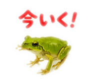 889442533