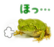 889442534