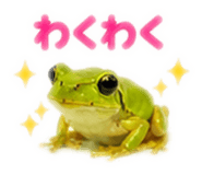 889442535
