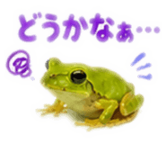 889442536